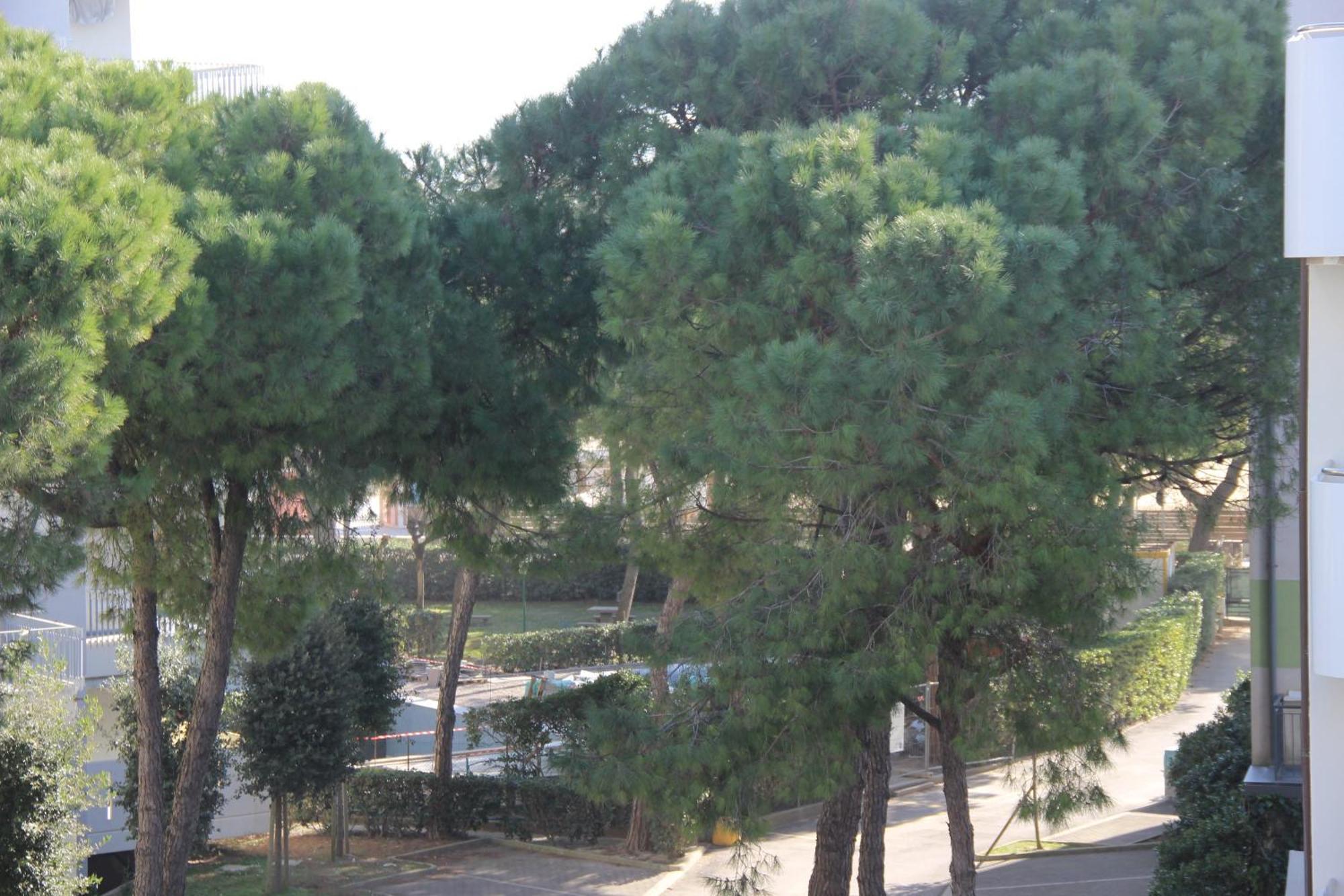 Fiorenza 3a *